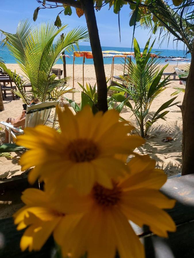 Mallika Guest House Tangalle Zewnętrze zdjęcie